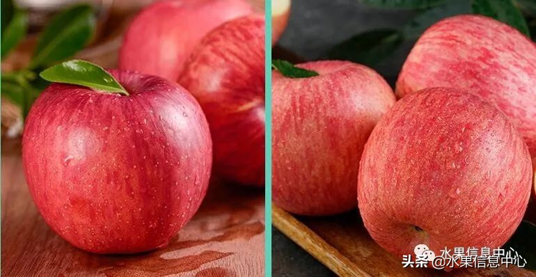 苹果季节是什么时候成熟，哪几个月（这23种苹果的品种产地及成熟时间，你知道吗）