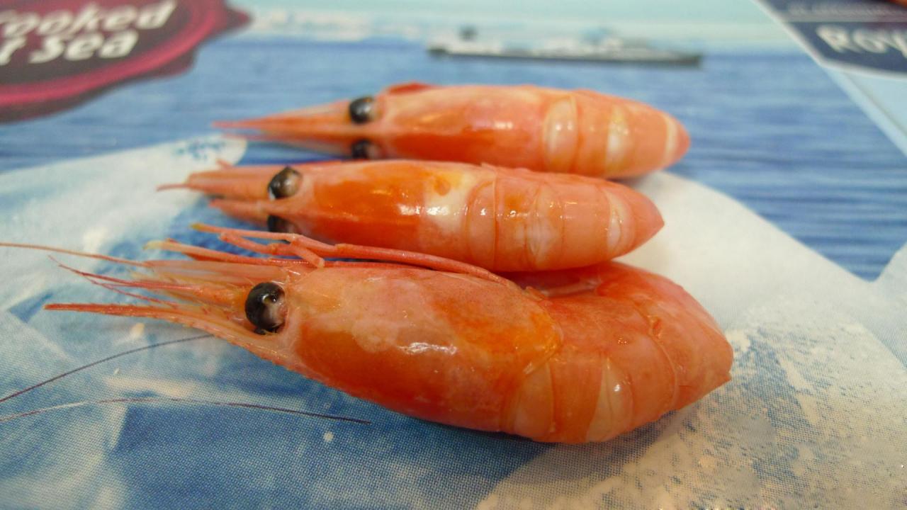 北极甜虾是生的还是熟的（北极虾为什么全是熟的，黑头的能不能吃？看好颜色才不会买不错）
