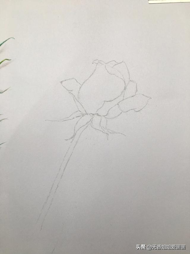玫瑰花怎么画简单好看，手绘玫瑰花画法步骤图（四步就能学会）