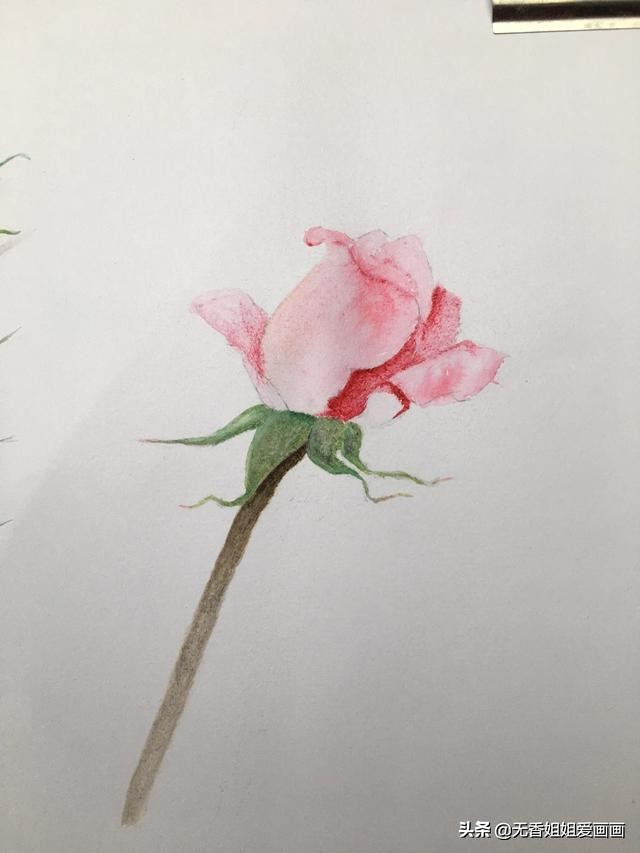 玫瑰花怎么画简单好看，手绘玫瑰花画法步骤图（四步就能学会）
