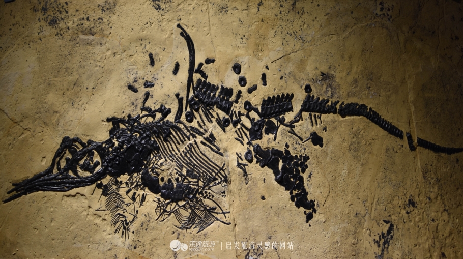 贵州龙是什么动物，贵州龙是恐龙吗？化石为何遍布黔西南？