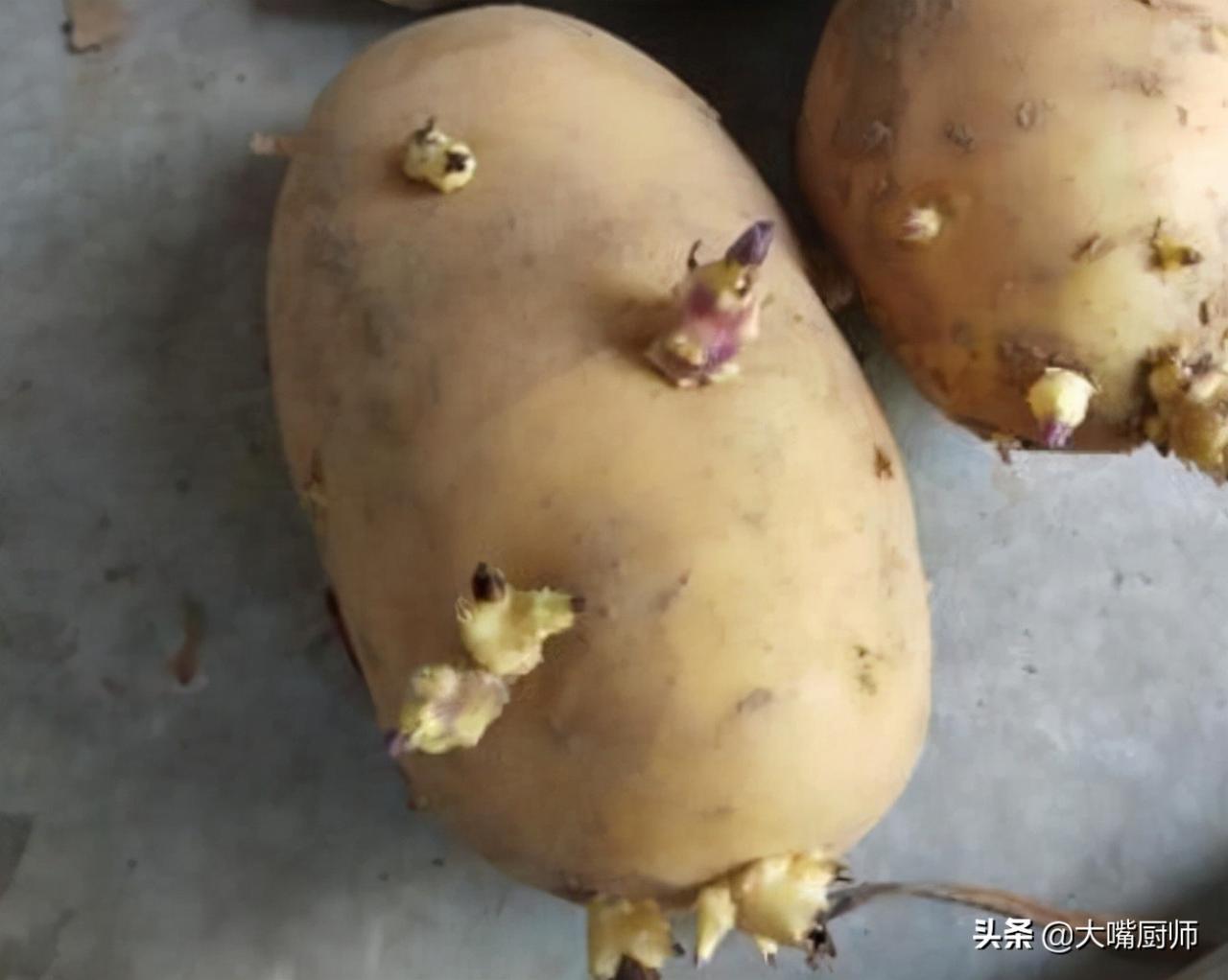 土豆发芽了还能吃吗,吃了会怎么样，有毒吗（其实很多人都搞错了）