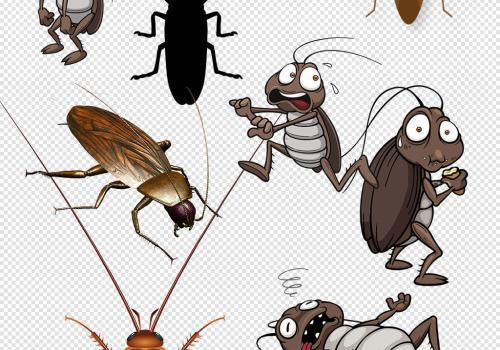 蟑螂会吃死去的同类吗，蟑螂死后为什么会被同类吃？